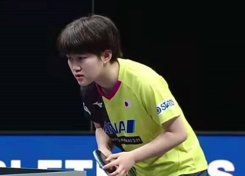 篮球世界里 篮球世界里